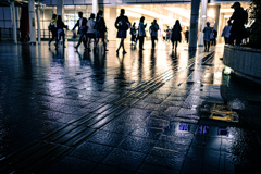 _DSF3878-2