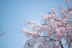 _FJX0157