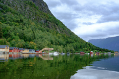 _FJX0550