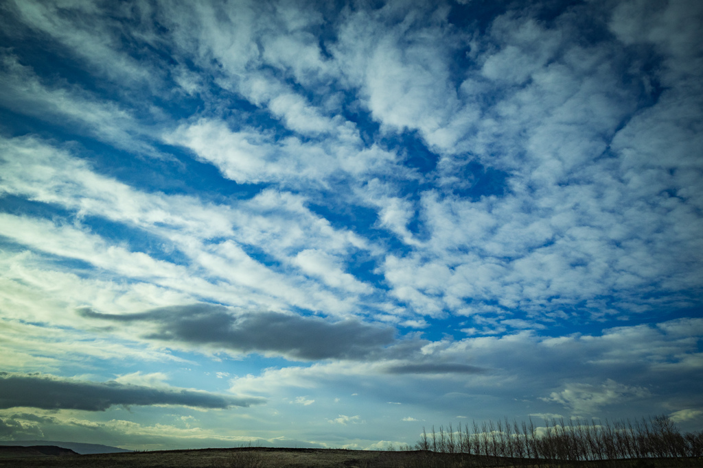 _DSF0711-Enhanced