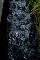 _DSF3465-2