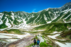_FJX0816-4