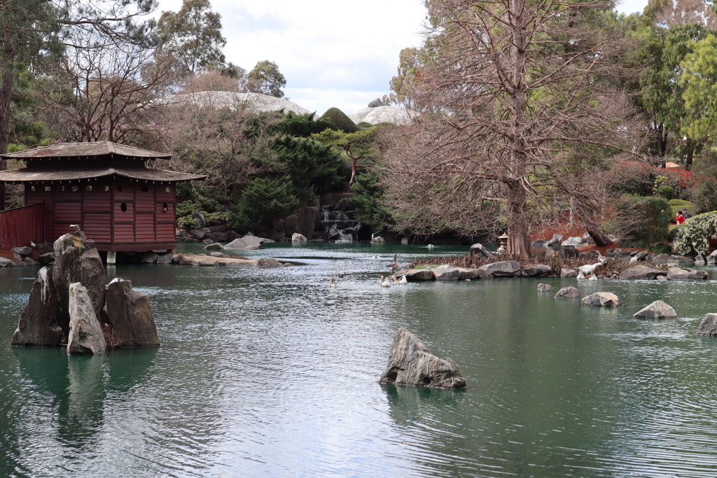 シドニーの日本庭園