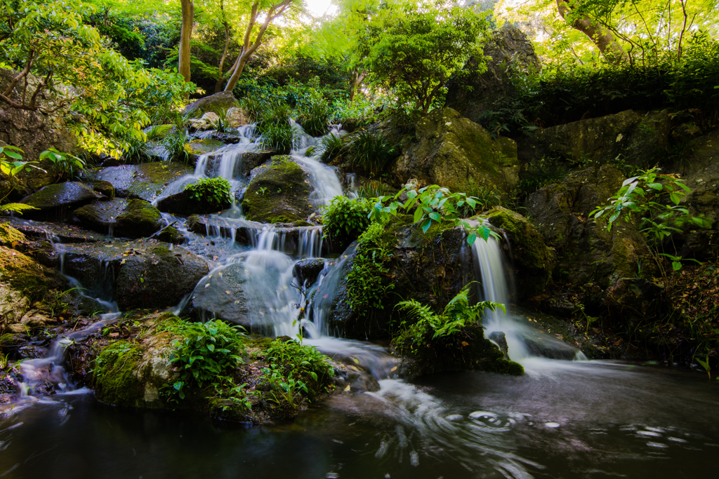 浜松城公園 日本庭園