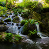 浜松城公園 日本庭園