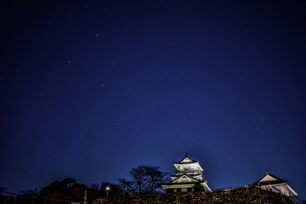 浜松城と星空