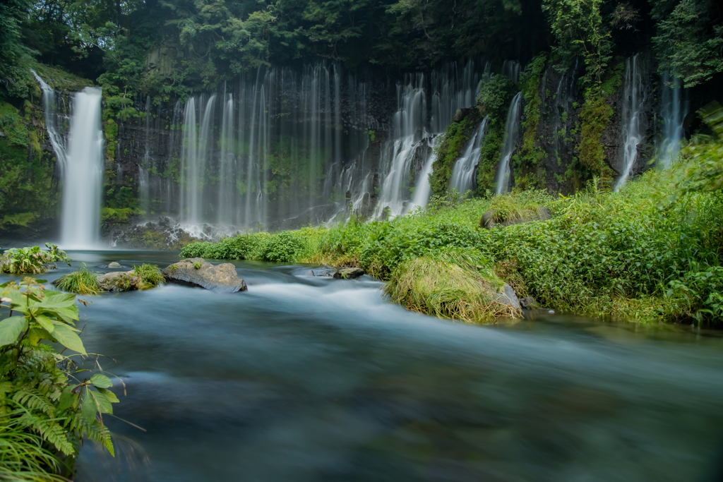 夏の白糸の滝