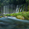 夏の白糸の滝