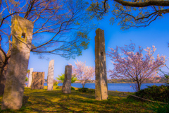 佐鳴八景歌碑と桜