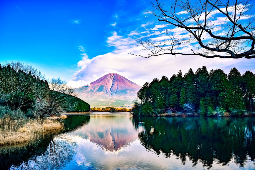 田貫湖 富士山