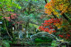 鳴谷山 聖宝寺 紅葉