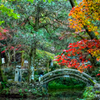 鳴谷山 聖宝寺 紅葉