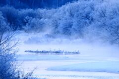 タンチョウの眠る川Ⅰ