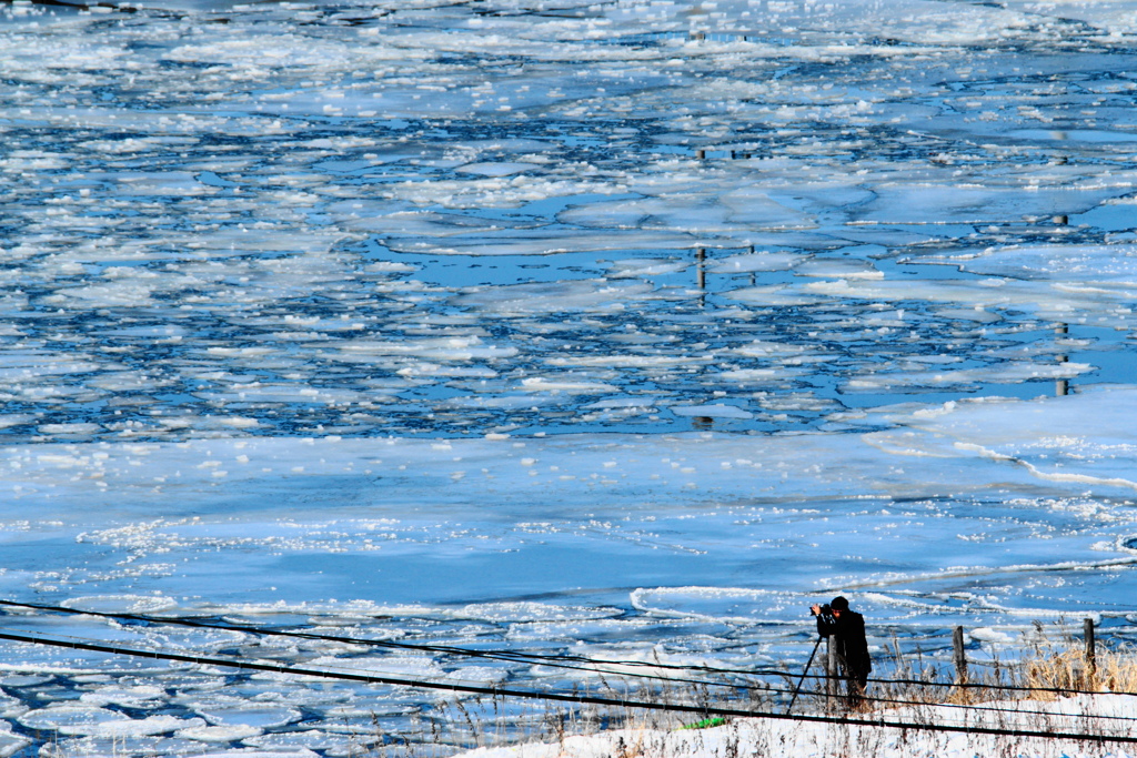 待ち構えるカメラマン