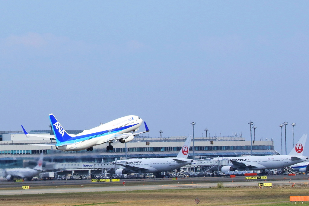 全日空 Boeing 737-881.