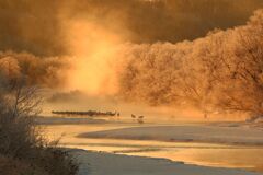 タンチョウの眠る川Ⅱ