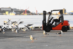 人もカモメも待ってる