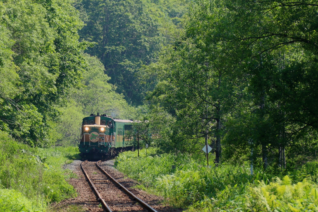 ノロッコ号
