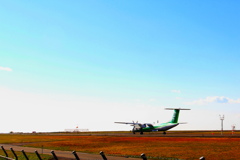 青空と緑の機体