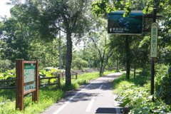 サイクリング道路