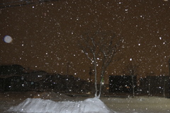 しんしんと降る雪