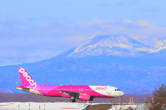雌阿寒岳とピーチ
