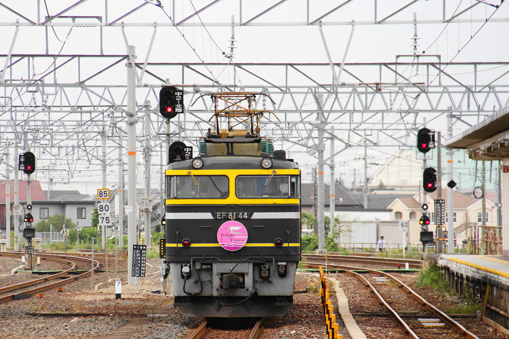 敦賀で交代するEF81形電気機関車