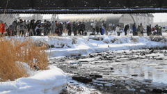 待ち構えるSLファン