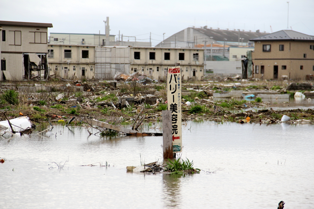 撤去しないで下さいの立て札