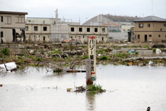 撤去しないで下さいの立て札