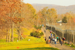 秋の丹頂鶴自然公園