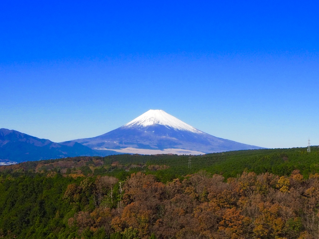 富士の山