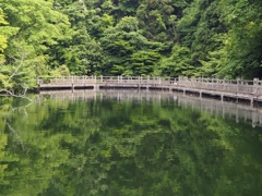 新緑
