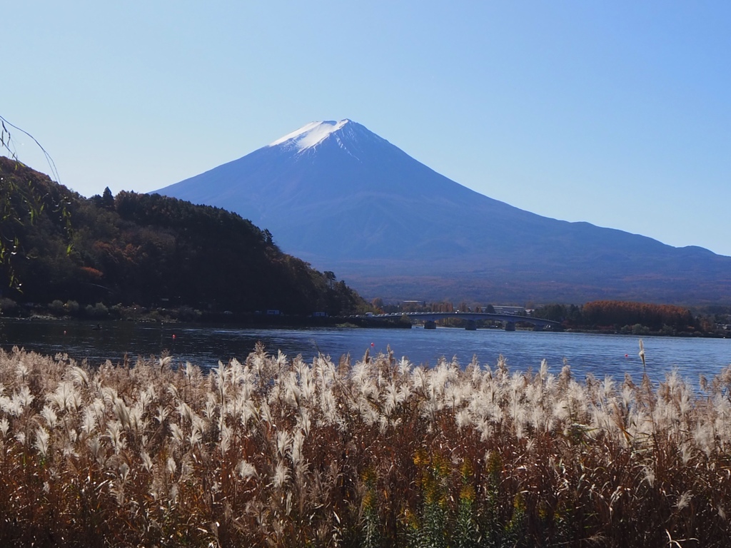 富士山とすすき
