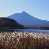 富士山とすすき