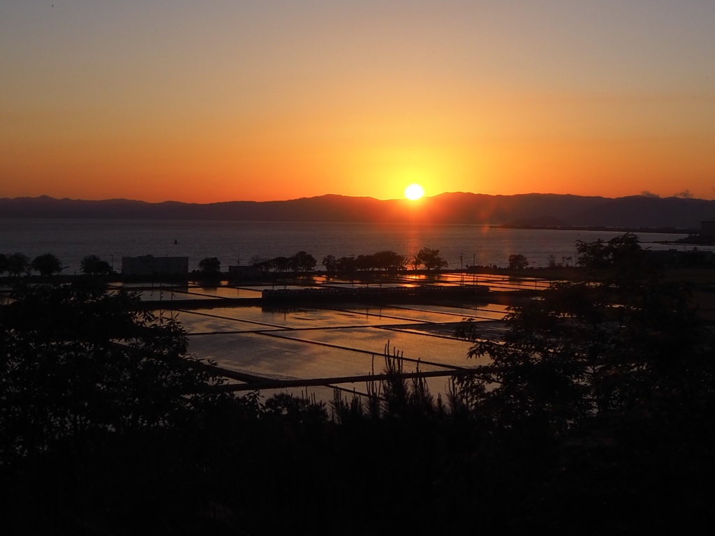 水田に映り込む夕陽