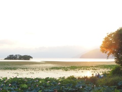 夏の琵琶湖