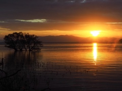 夕陽