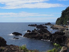 夏の海