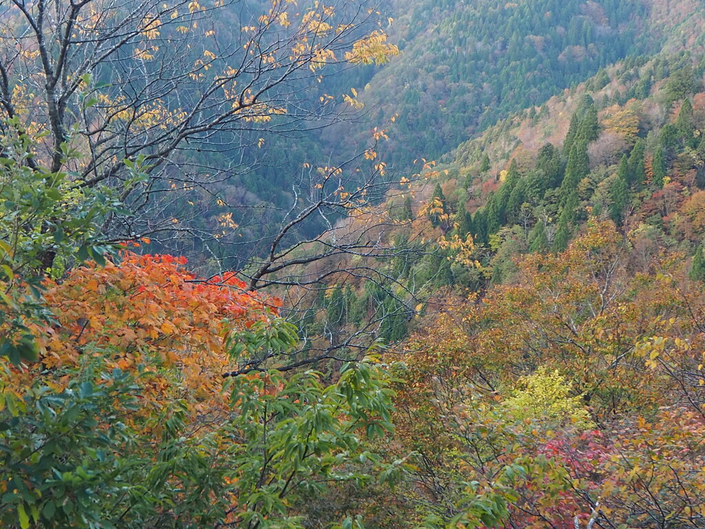 色づく山肌