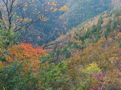 色づく山肌