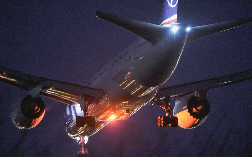 ポーランドより