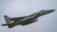 F-15J