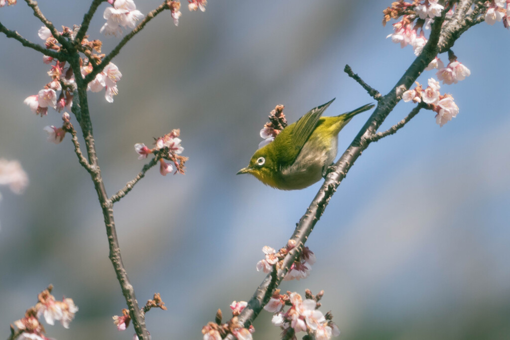 近所の公園にて