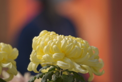 成田山新勝寺にて