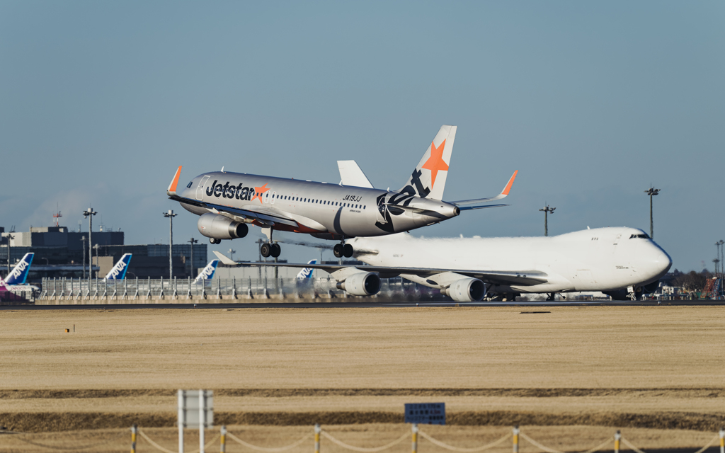 「翼のったる」　とジェット曰く