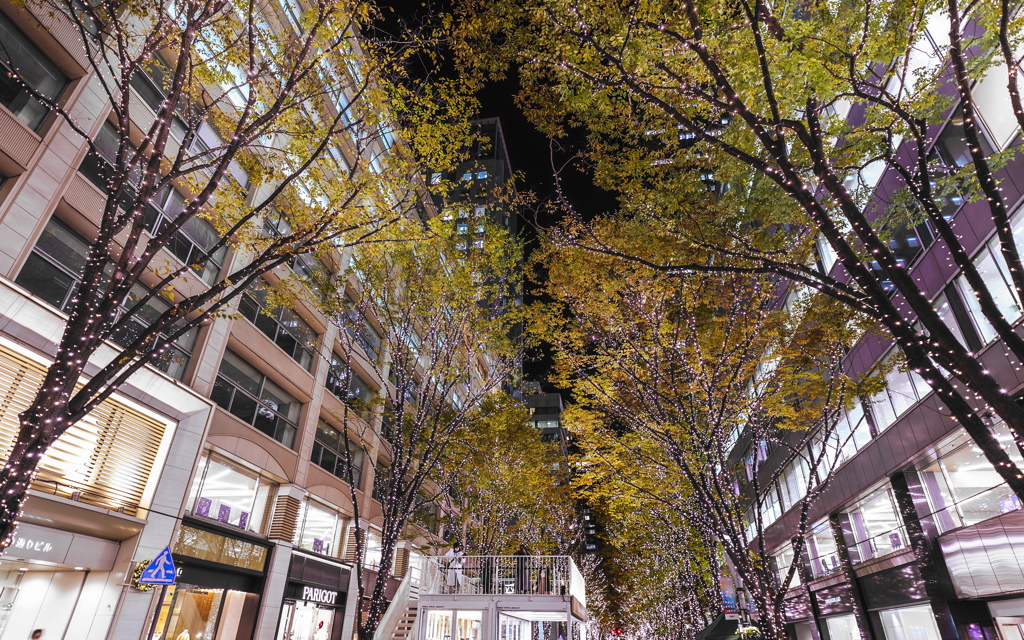 丸の内イルミ