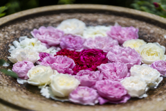 港の見える丘公園にて