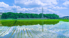 梅雨の晴れ間