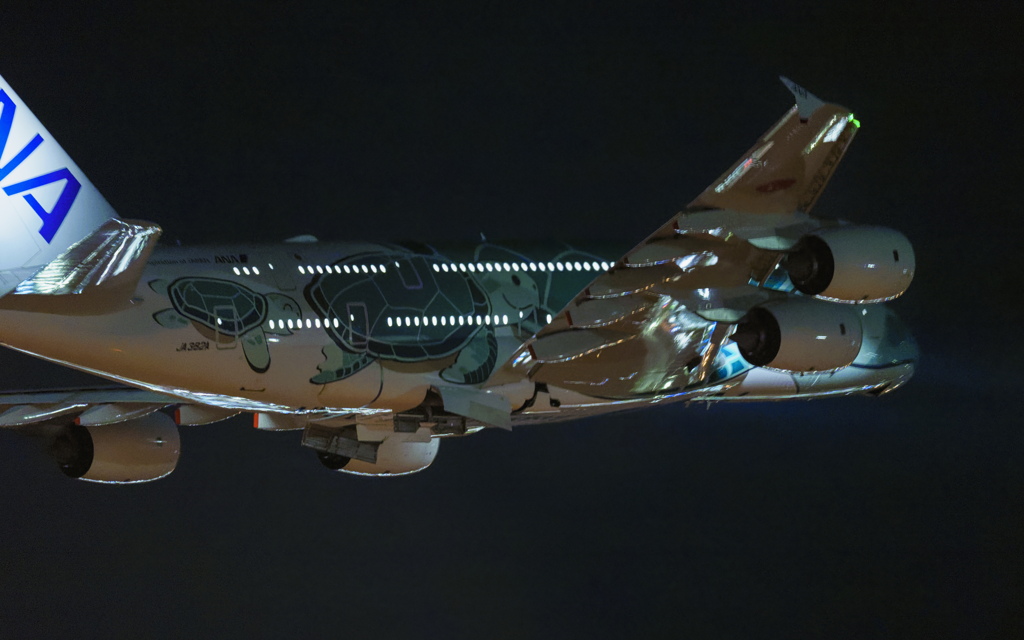 にっこりカイ君ホノルルへ